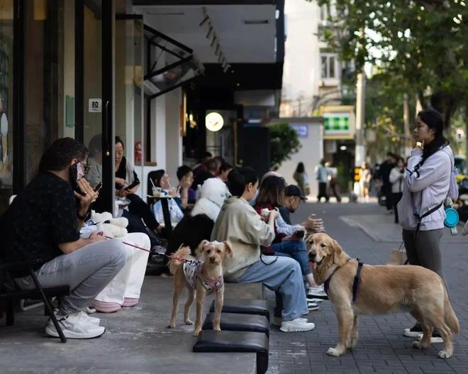 抛弃了双11爱上了“老年严选”AG真人旗舰厅这届脆皮年轻人(图6)